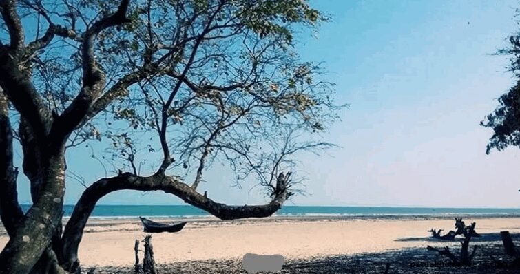 পটুয়াখালী উপজেলার ইউনিয়ন