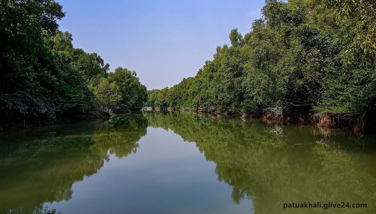 পটুয়াখালী জেলার শিক্ষা প্রতিষ্ঠান