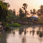 কারখানা নদীর ভয়াল থাবায় বাউফলে হাজারো পরিবারের আর্তনাদ